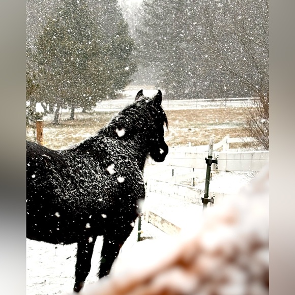 Meet your Posher, Christina - Picture 4 of 9